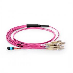 24 Fibers OM4 Multimode 12 Strands MTP Harness Cable 3.0mm LSZH/Riser