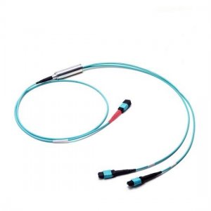 1M MTP Female to 2x MTP Female 24 Fibers OM3 50/125 Multimode Conversion Cable, Polarity B, LSZH Bunchch