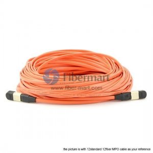 48 Fibers Multimode OM1 12 Strands MTP Trunk Cable 3.0mm LSZH/Riser