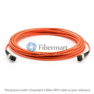 8 Fibers Multimode OM1 12 Strands MTP Trunk Cable 3.0mm LSZH/Riser