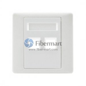 2-Port Duplex LC Fiber Optic Wall Plate Outlet