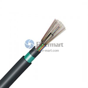 12 Fibers 62.5/125μm Multimode Single Armor Double Jackets Stranded Loose Tube FRP Strength Member Waterproof Outdoor Cable - GYFTY53