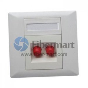 2-Port FC Bevel Fiber Optic Wall Plate Outlet