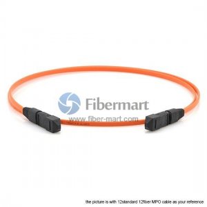 24 Fibers Multimode OM2 24 Strands MPO Trunk Cable 3.0mm LSZH/Riser