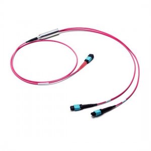 10M MTP Female to 2x MTP Female 24 Fibers OM4 50/125 Multimode Conversion Cable, Polarity B, LSZH Bunch