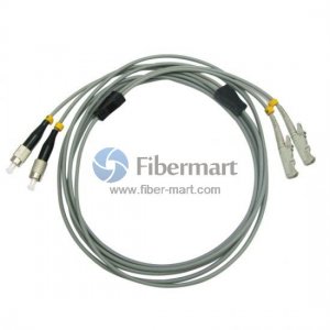 FC/UPC to E2000/UPC Duplex Multimode 50/125 OM2 Armored Patch Cable