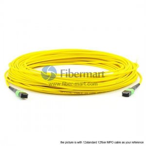 24 Fibers Single-Mode 24 Strands MPO Trunk Cable 3.0mm LSZH/Riser