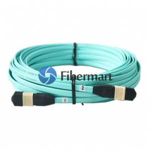 a blue MTP cable